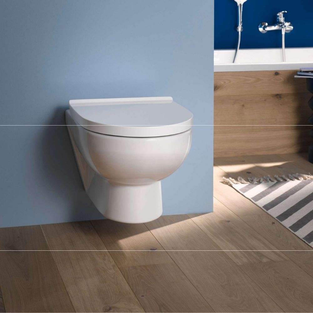 Durastyle Basic Wall Hung Toilet